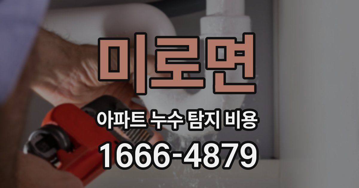 미로면 아파트 누수 탐지 비용