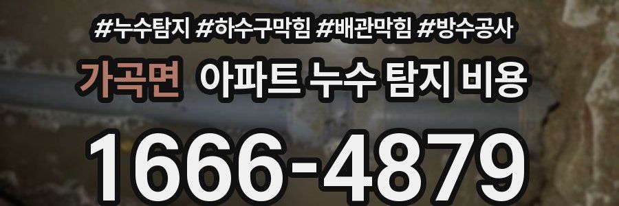 가곡면 아파트 누수 탐지 비용