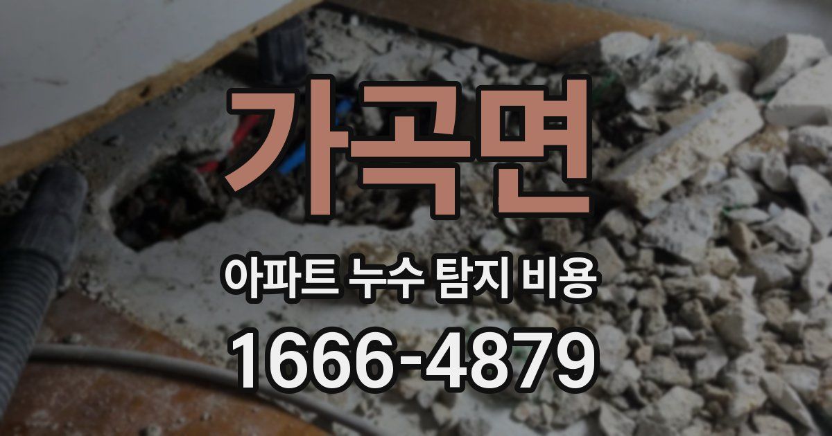 가곡면 아파트 누수 탐지 비용