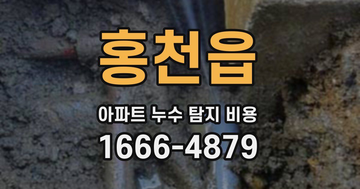 홍천읍 아파트 누수 탐지 비용