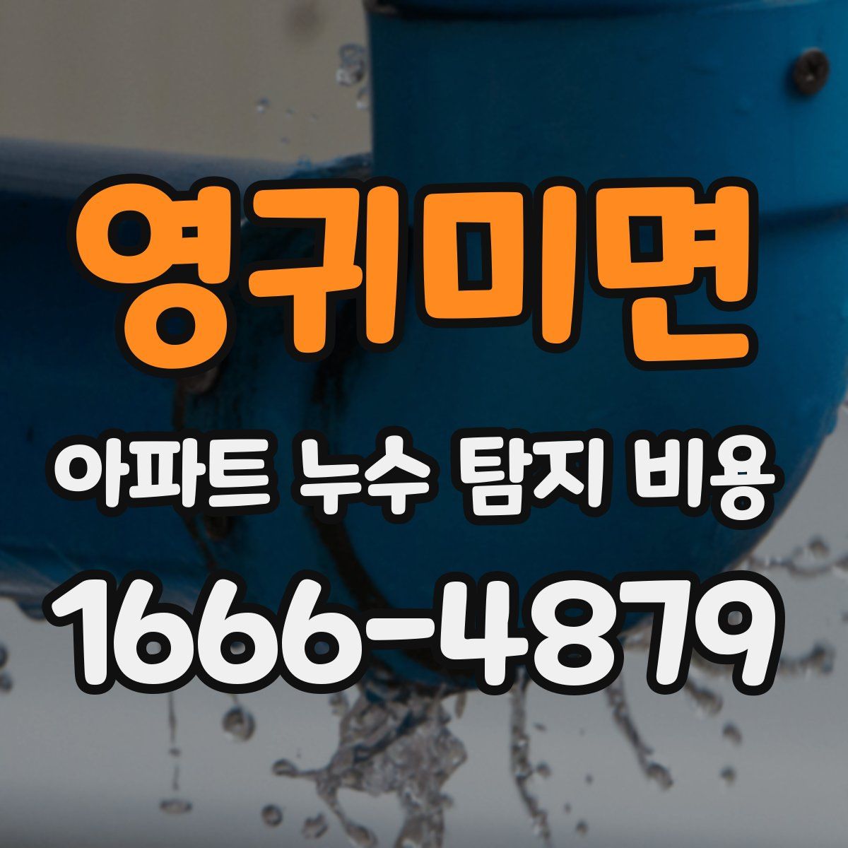 영귀미면 아파트 누수 탐지 비용