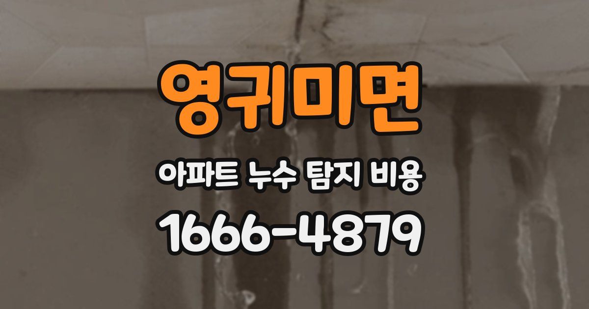 영귀미면 아파트 누수 탐지 비용