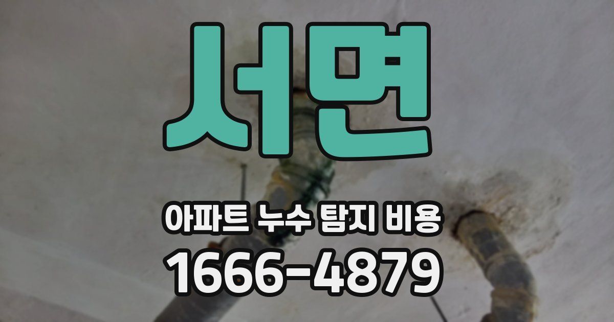 서면 아파트 누수 탐지 비용