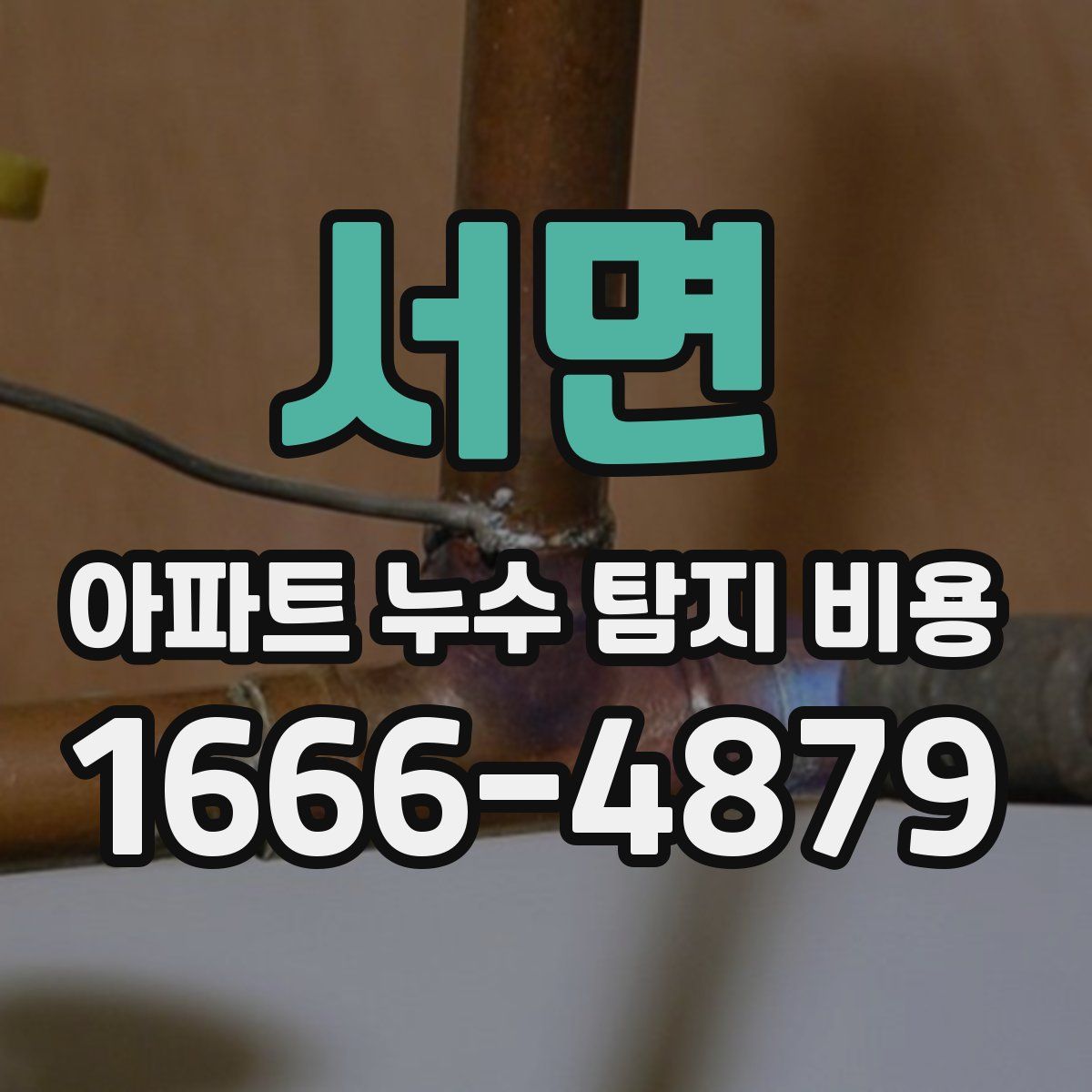 서면 아파트 누수 탐지 비용