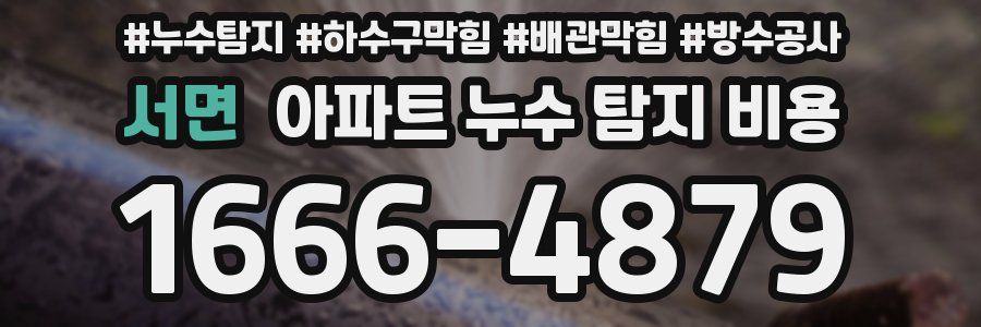 서면 아파트 누수 탐지 비용