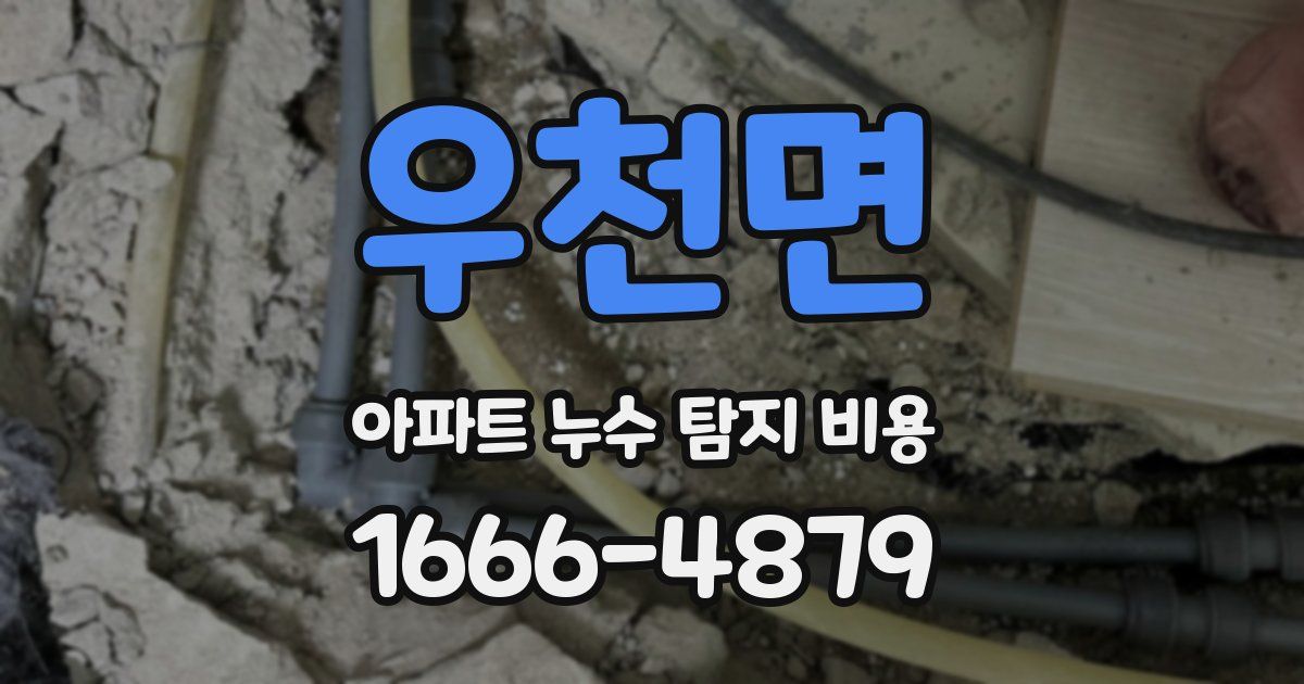 우천면 아파트 누수 탐지 비용