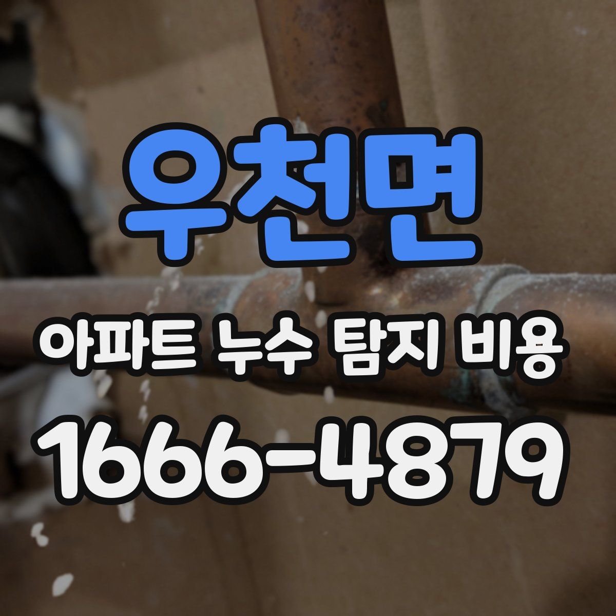 우천면 아파트 누수 탐지 비용