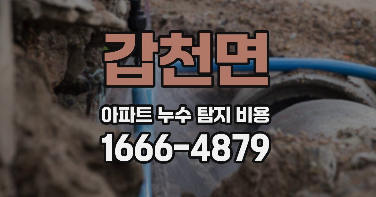갑천면 아파트 누수 탐지 비용