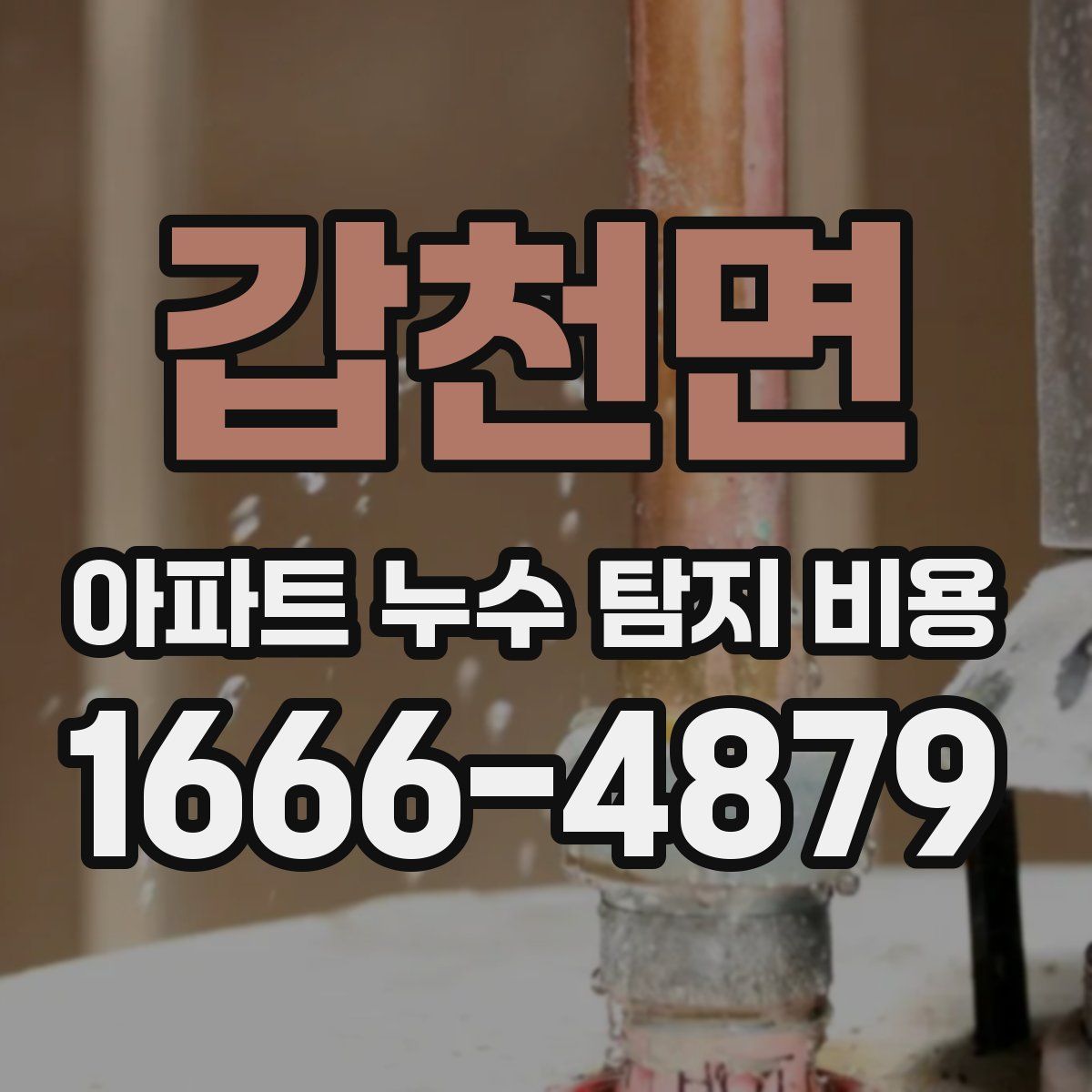 갑천면 아파트 누수 탐지 비용