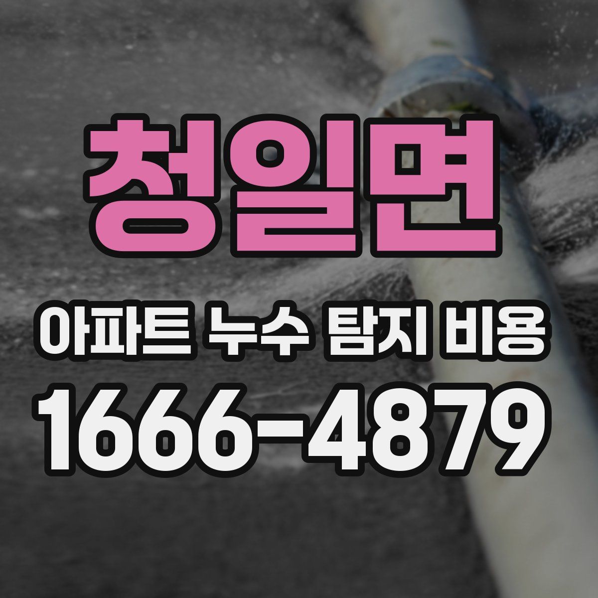 청일면 아파트 누수 탐지 비용