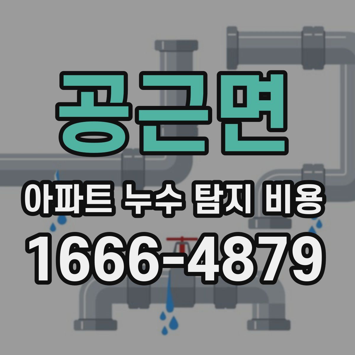공근면 아파트 누수 탐지 비용