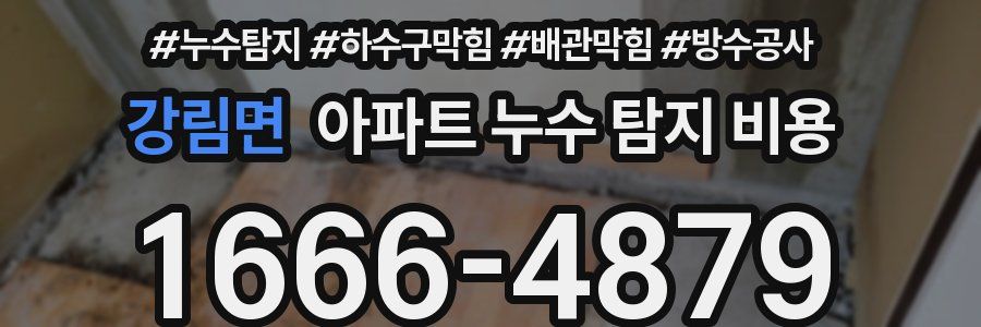 강림면 아파트 누수 탐지 비용