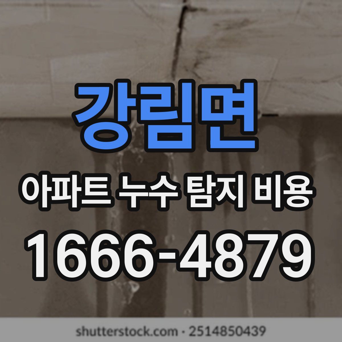 강림면 아파트 누수 탐지 비용