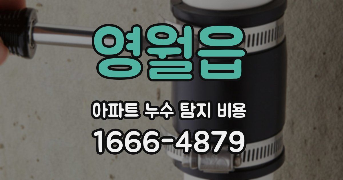 영월읍 아파트 누수 탐지 비용