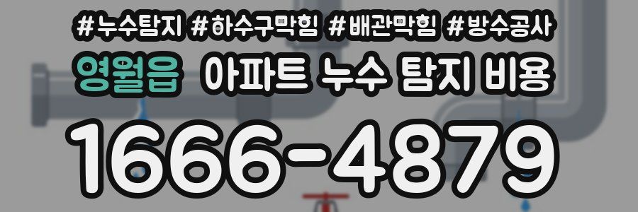 영월읍 아파트 누수 탐지 비용