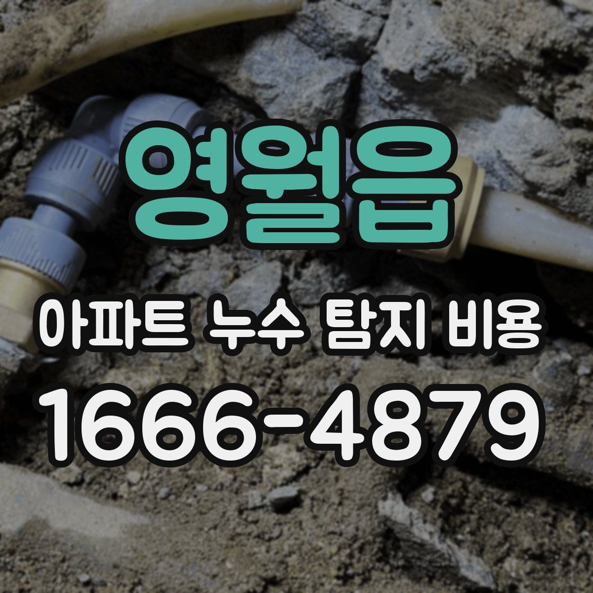 영월읍 아파트 누수 탐지 비용