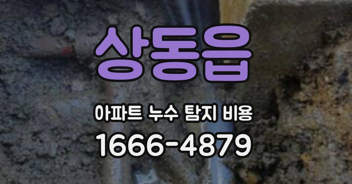 상동읍 아파트 누수 탐지 비용