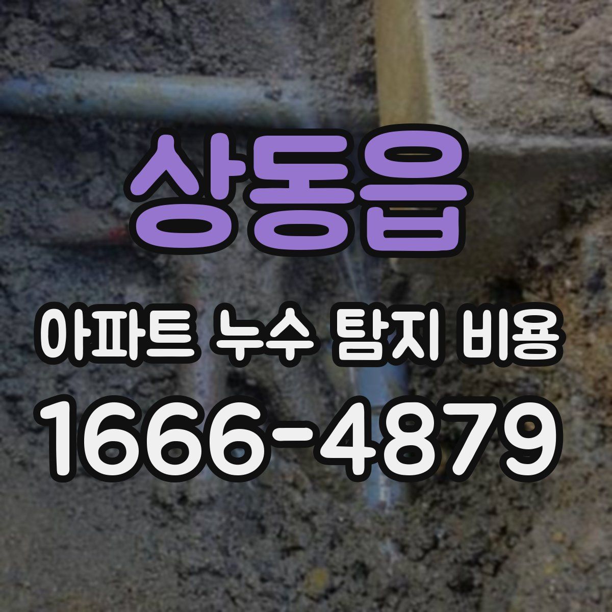 상동읍 아파트 누수 탐지 비용