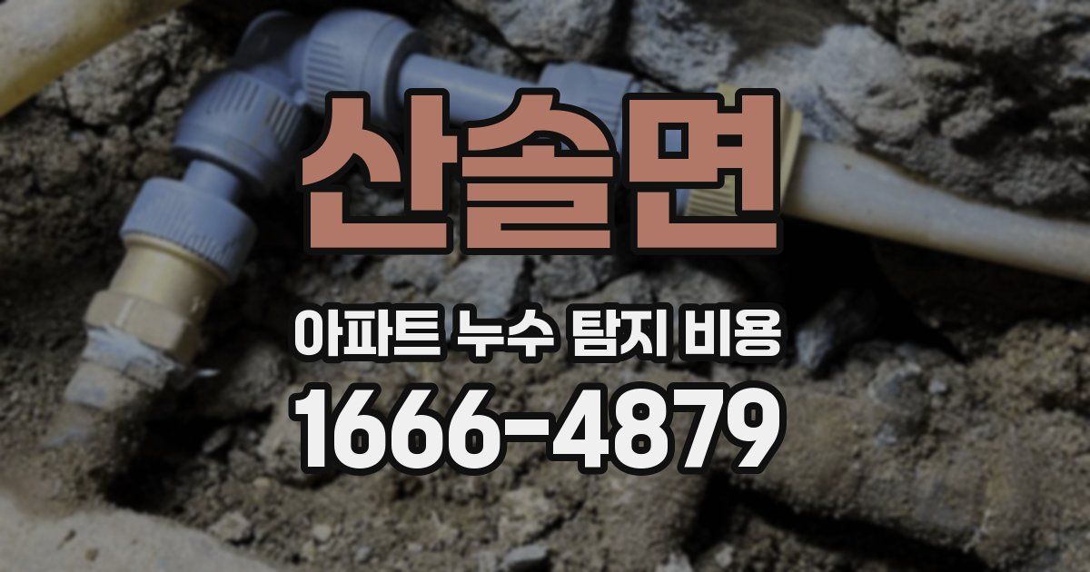 산솔면 아파트 누수 탐지 비용