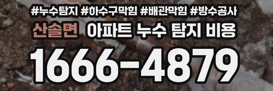 산솔면 아파트 누수 탐지 비용