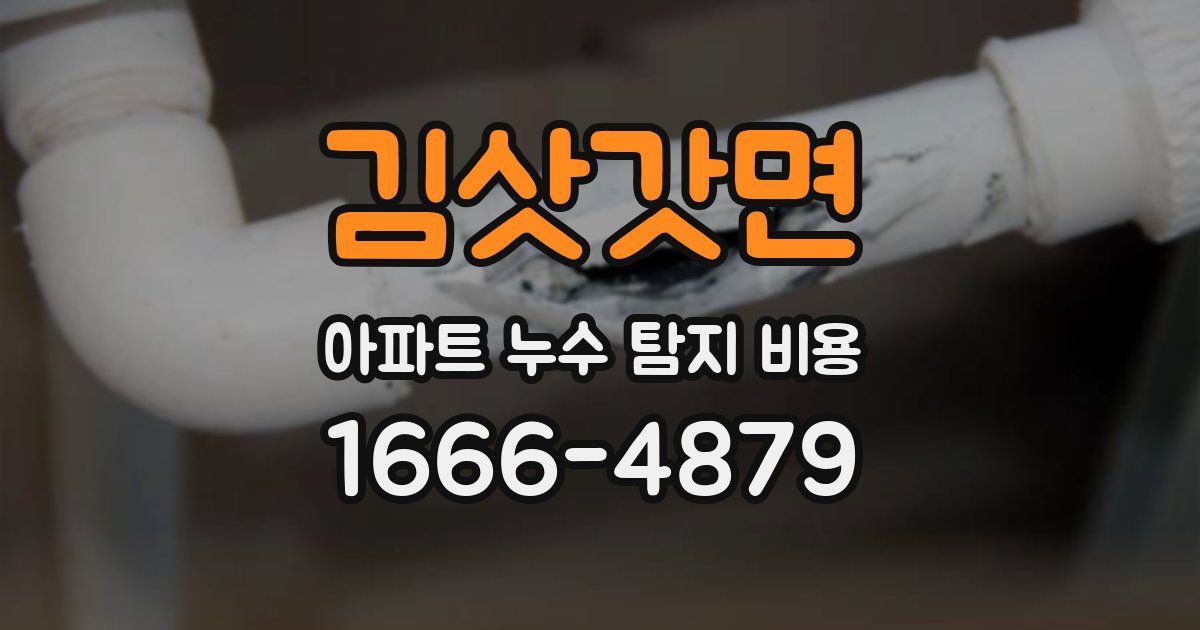 김삿갓면 아파트 누수 탐지 비용