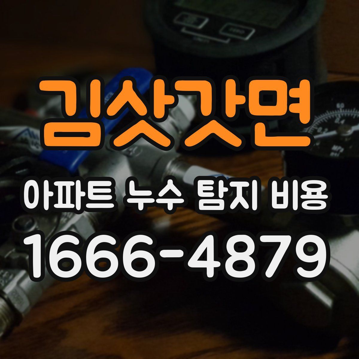 김삿갓면 아파트 누수 탐지 비용