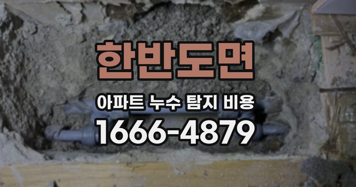 한반도면 아파트 누수 탐지 비용