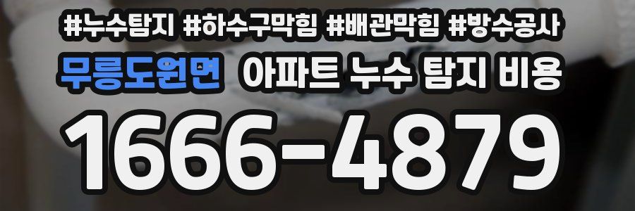 무릉도원면 아파트 누수 탐지 비용