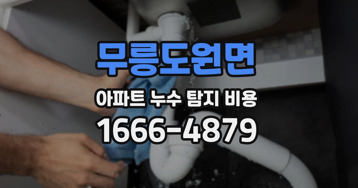 무릉도원면 아파트 누수 탐지 비용