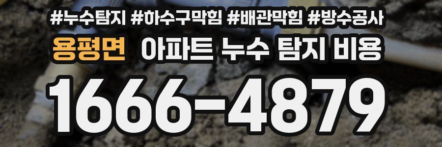용평면 아파트 누수 탐지 비용