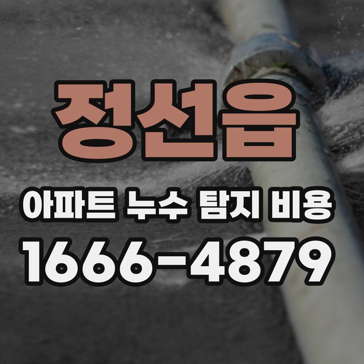 정선읍 아파트 누수 탐지 비용