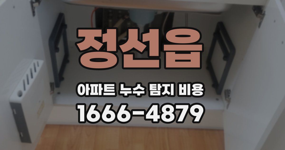 정선읍 아파트 누수 탐지 비용