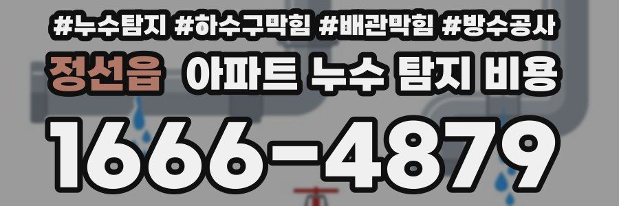 정선읍 아파트 누수 탐지 비용
