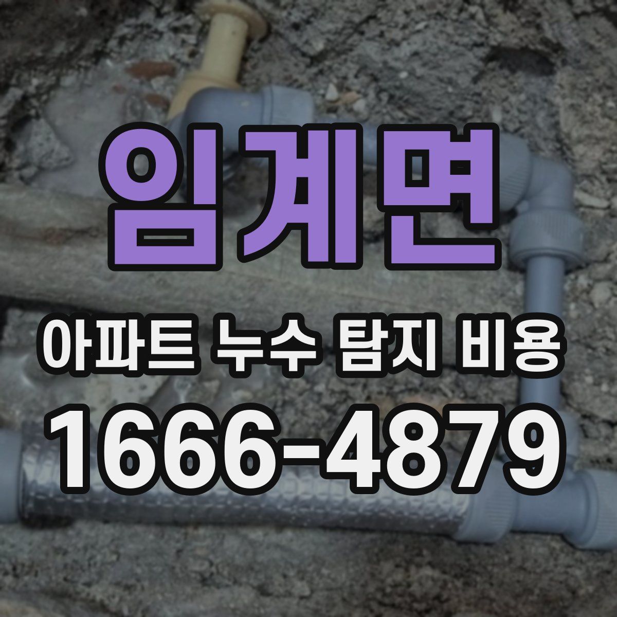 임계면 아파트 누수 탐지 비용
