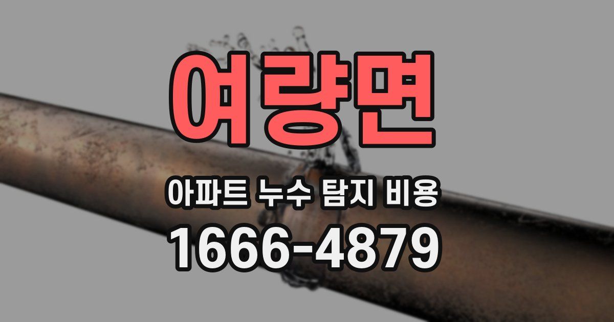 여량면 아파트 누수 탐지 비용