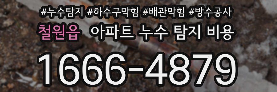 철원읍 아파트 누수 탐지 비용