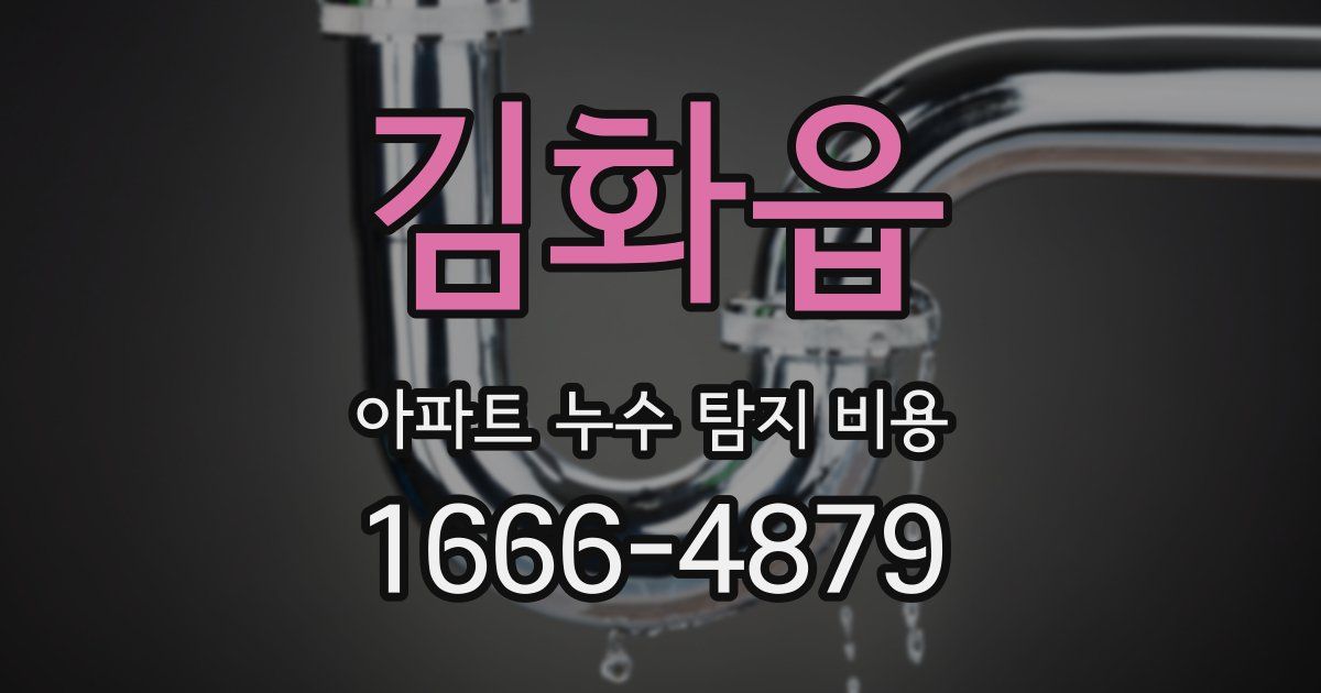 김화읍 아파트 누수 탐지 비용