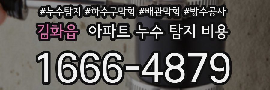 김화읍 아파트 누수 탐지 비용
