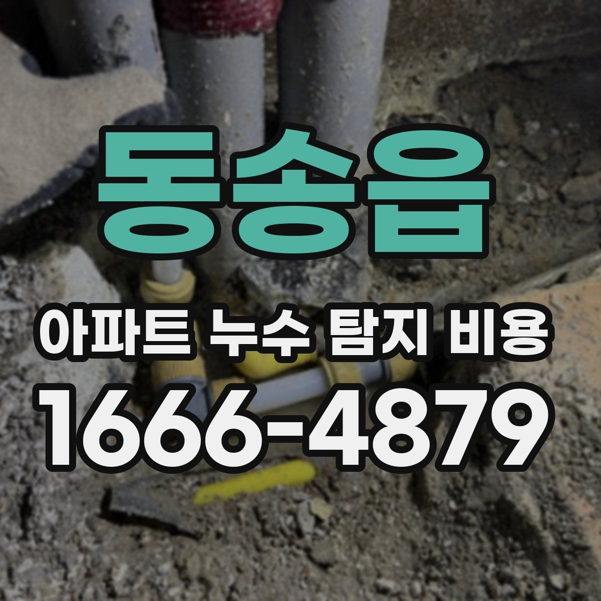 동송읍 아파트 누수 탐지 비용
