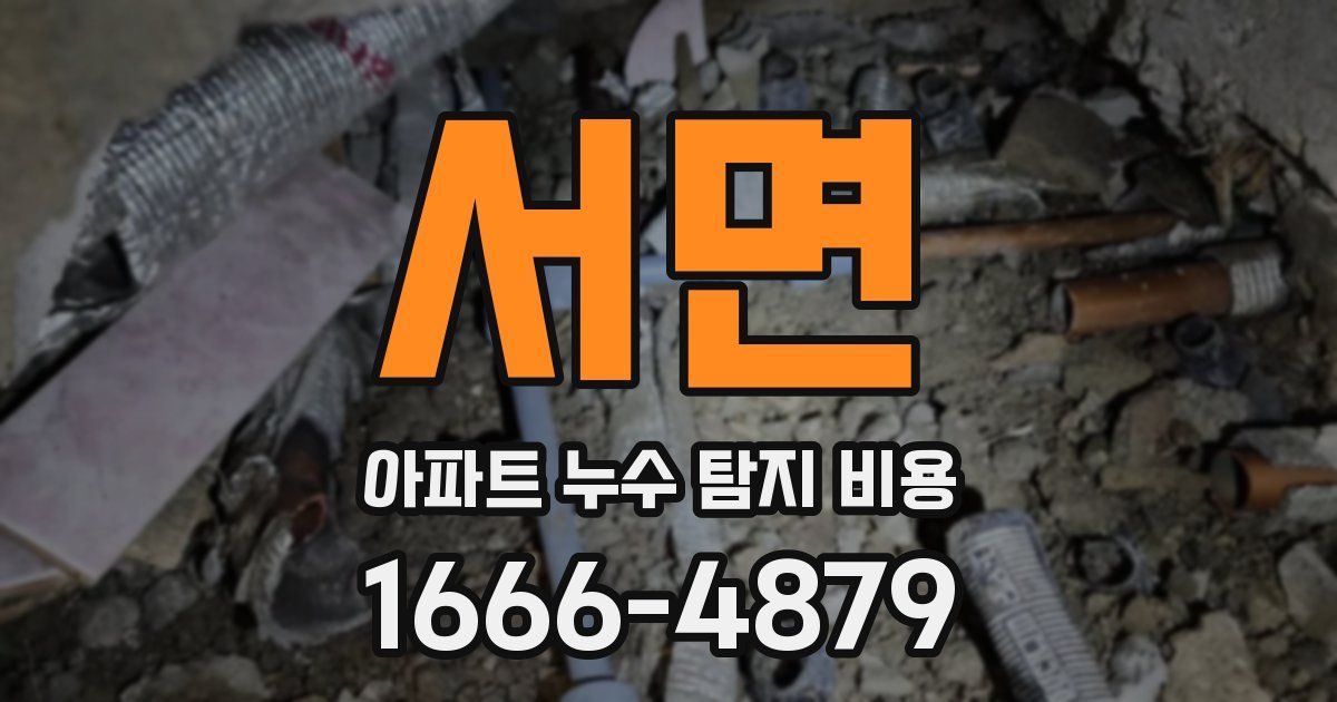 서면 아파트 누수 탐지 비용
