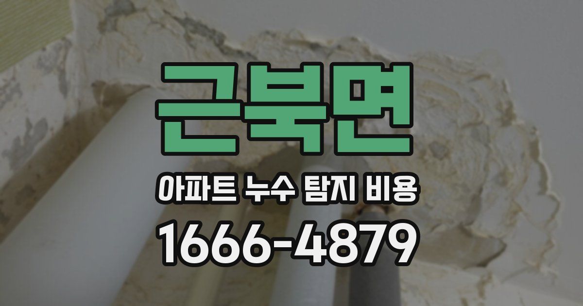근북면 아파트 누수 탐지 비용