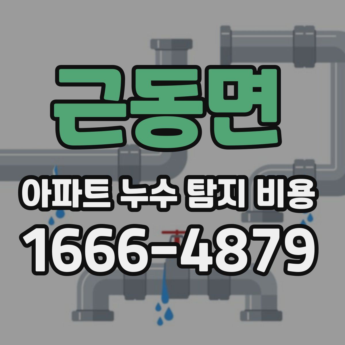 근동면 아파트 누수 탐지 비용