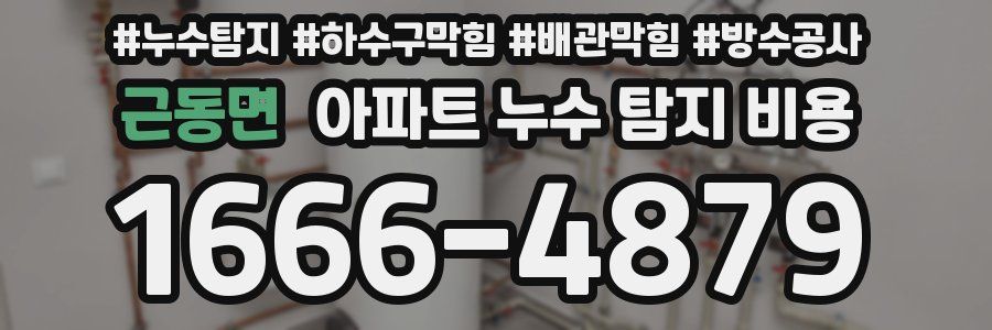 근동면 아파트 누수 탐지 비용