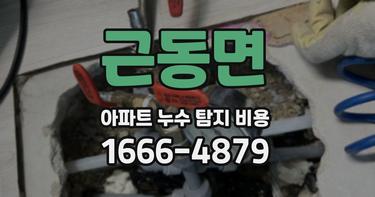 근동면 아파트 누수 탐지 비용