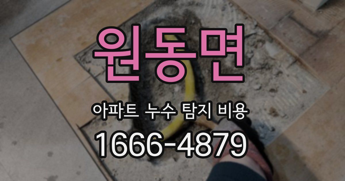 원동면 아파트 누수 탐지 비용