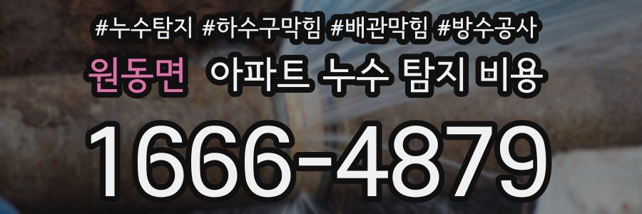 원동면 아파트 누수 탐지 비용