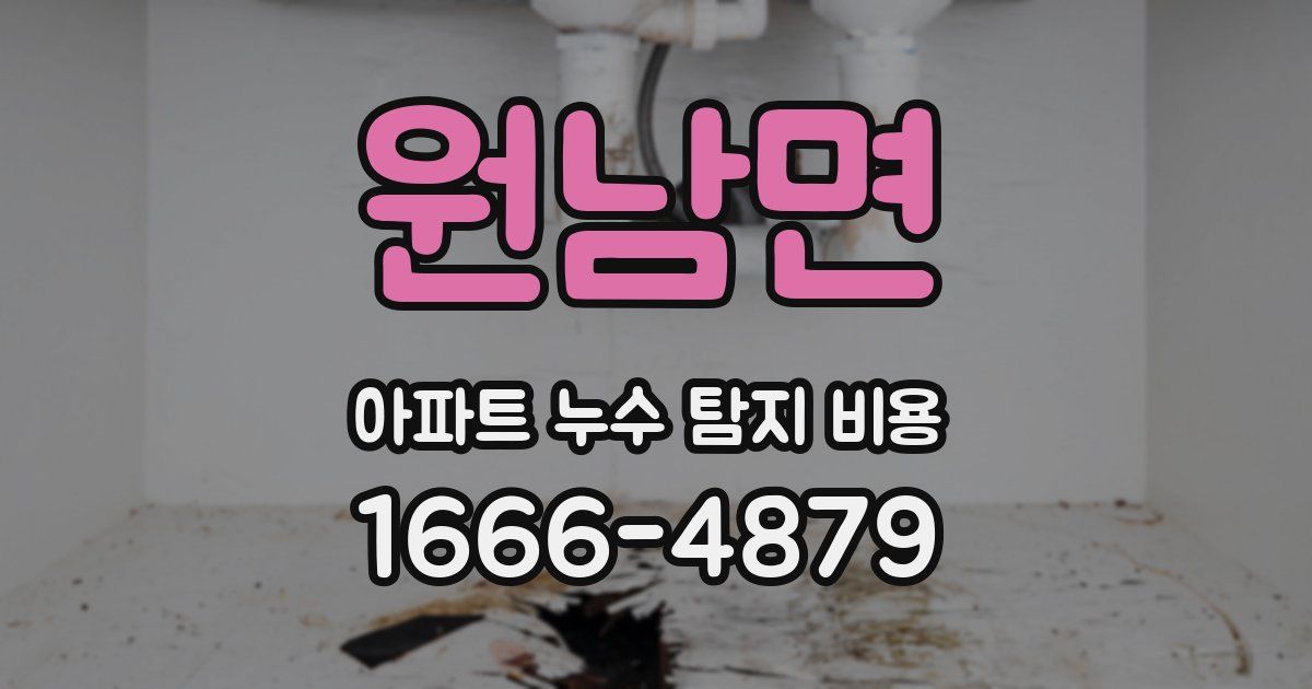 원남면 아파트 누수 탐지 비용
