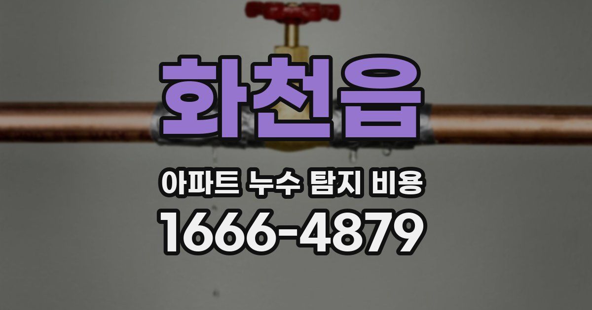 화천읍 아파트 누수 탐지 비용
