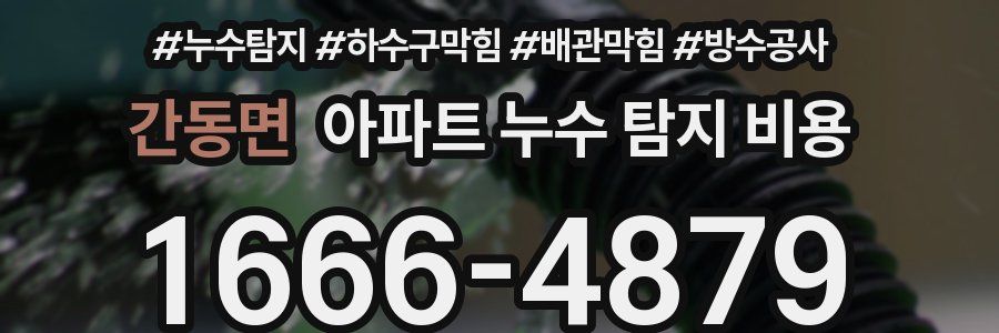 간동면 아파트 누수 탐지 비용