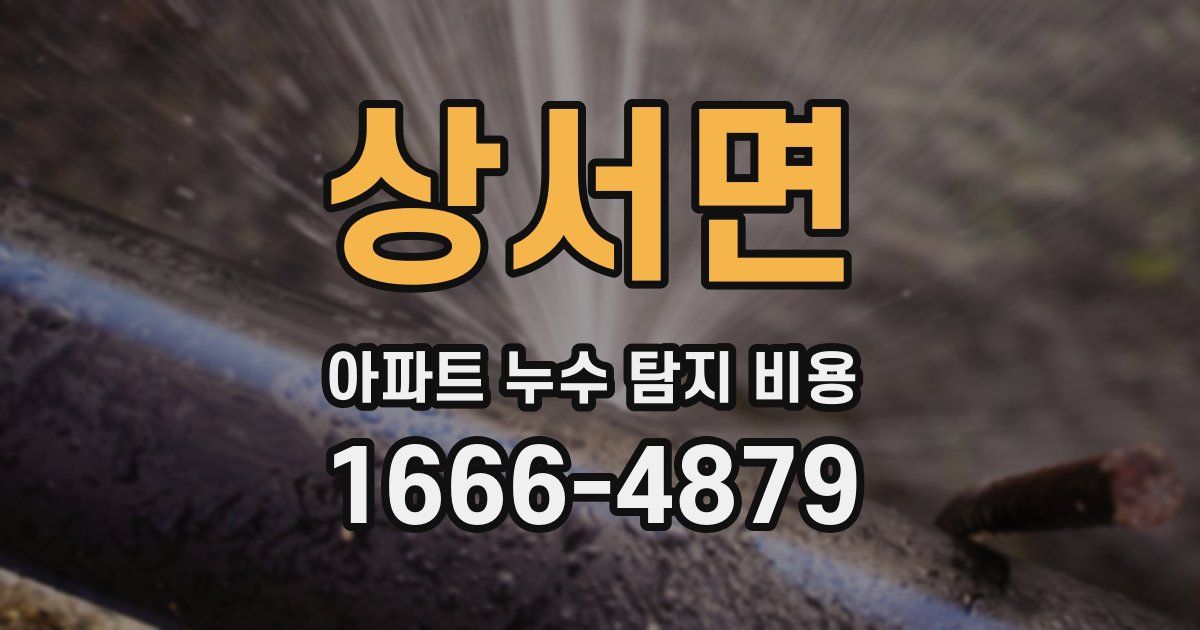 상서면 아파트 누수 탐지 비용